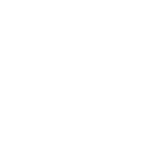 fire wall icon