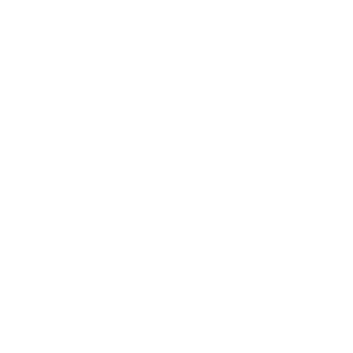 site security icon